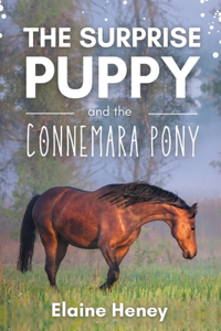 Surprise Puppy and the Connemara Pony - The Coral Cove Horses Series
