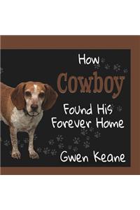 How Cowboy Found His Forever Home