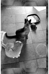 Turtles And Cats