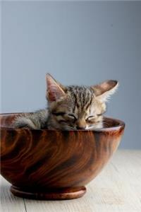 Tabby Kitten in a Wooden Bowl Journal