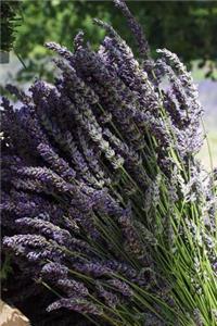 Lavender Bundles in a Market Journal