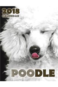 Poodle 2018 Calendar