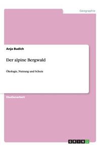 Der alpine Bergwald