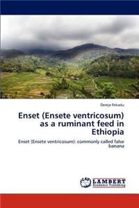 Enset (Ensete ventricosum) as a ruminant feed in Ethiopia