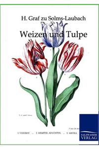 Weizen und Tulpe