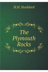 The Plymouth Rocks