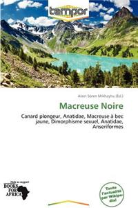 Macreuse Noire