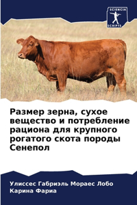 Размер зерна, сухое вещество и потреблениk