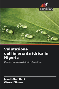 Valutazione dell'impronta idrica in Nigeria