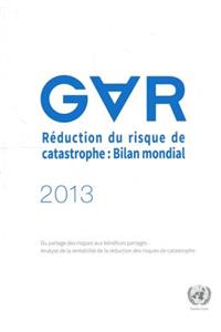 2013 Global Assessment Report on Disaster Risk Reduction