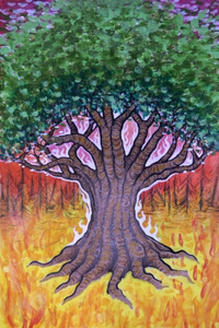 Whiteoak