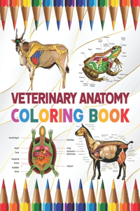 Veterinary Anatomy Coloring Book