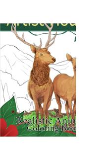 Artist House Realistic coloring book