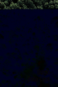 Verso un Nuovo Mondo