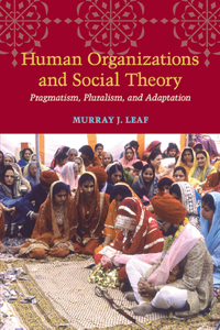 Human Organizations and Social Theory