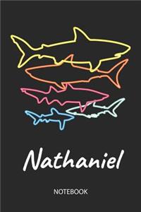 Nathaniel - Notebook