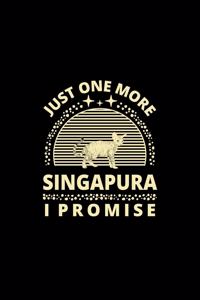 Just One More Singapura I Promise