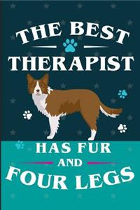 The Best Therapist Has Fur And Four Legs