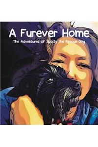 Furever Home