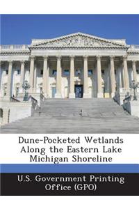 Dune-Pocketed Wetlands Along the Eastern Lake Michigan Shoreline