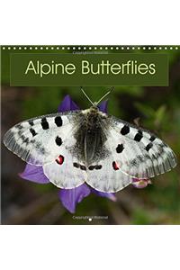 Alpine Butterflies 2017