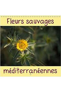 Fleurs Sauvages Mediterraneennes 2018