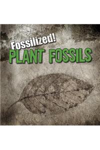 Plant Fossils