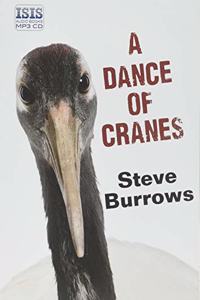 A Dance of Cranes