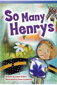 So Many Henrys (Library Bound) (Fluent)