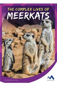 The Complex Lives of Meerkats