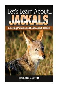 Let's Learn About...Jackals: Amazing Pictures and Facts about Jackals