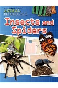 Insects and Spiders