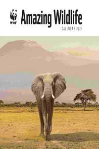 WWF AMAZING WILDLIFE SQUARE WALL CALENDA