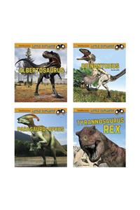 Little Paleontologist