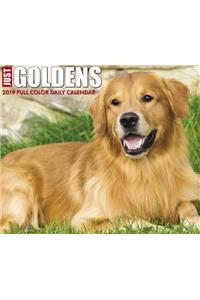 Just Goldens 2019 Box Calendar (Dog Breed Calendar)