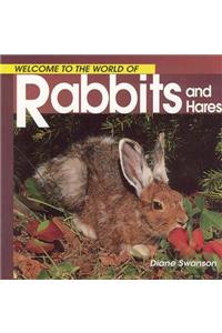 Welcome to the World of Rabbits and Hares