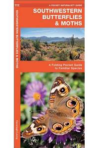 Southwestern Butterflies & Moths