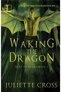 Waking the Dragon