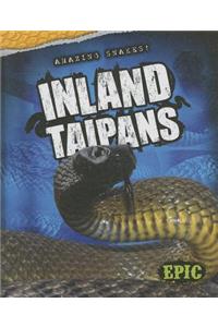 Inland Taipans