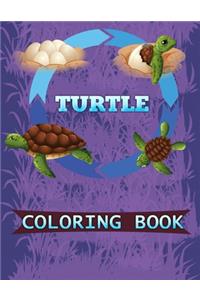 Turtles Coloring Book