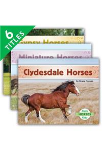 Horses Set 1 (Set)