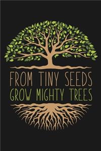 From Tiny Seeds Grow Mighty Trees