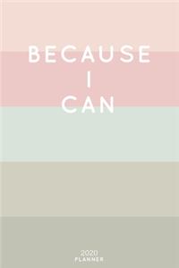 Because I Can