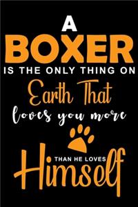 A Boxer Is The Only Thing On Earth That Loves You More Than He Loves Himself