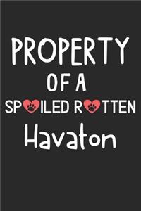 Property Of A Spoiled Rotten Havaton