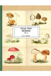 Vintage Prints