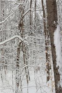 2019 Weekly Planner Winter Scenic Photo 134 Pages