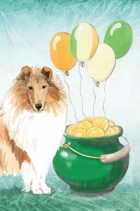 Rough Collie