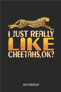 I Just Really Like Cheetahs, OK?