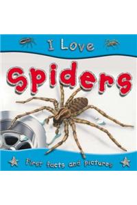 I Love Spiders